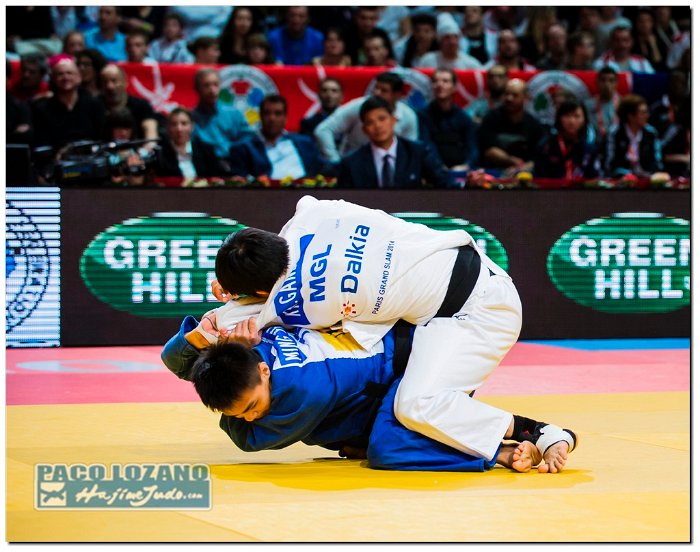 Paris 2014 by P.Lozano cat -60 kg (127)